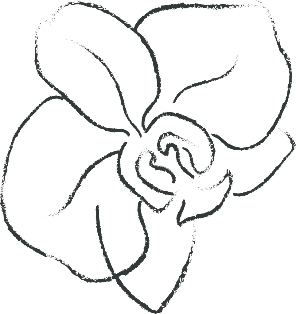 orchid-3.png